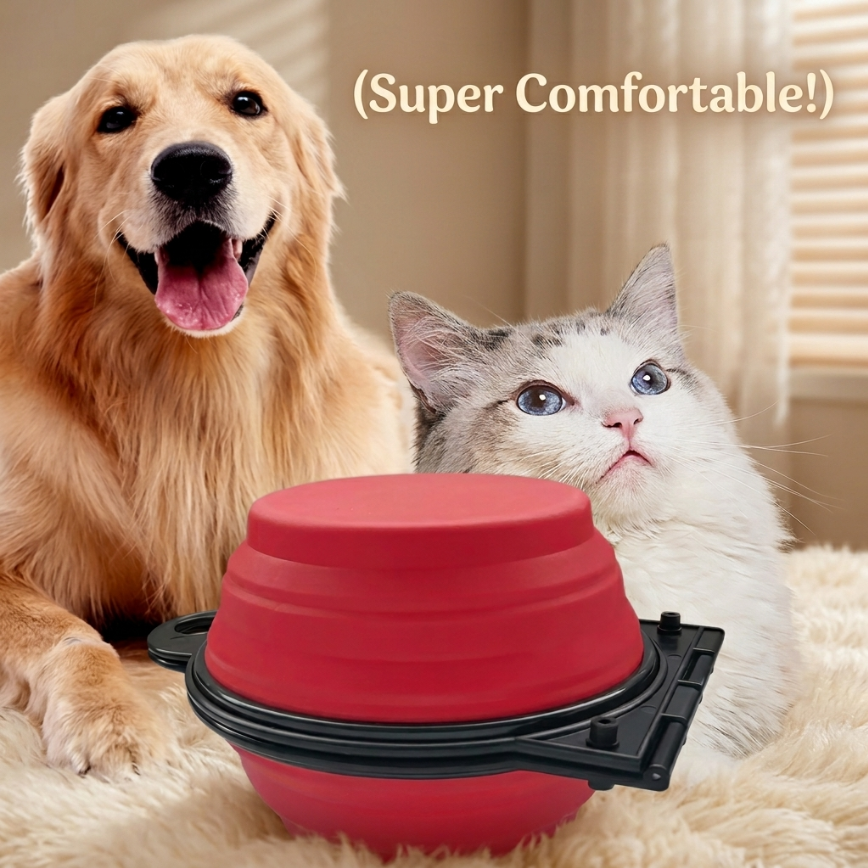 Food & Water Travel Bowl