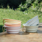 Portable Folding Pet Bowl