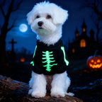 Pet dog clothing