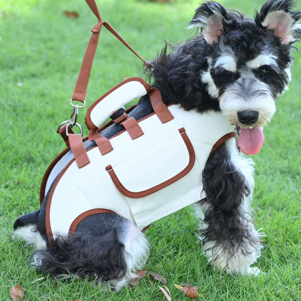 Portable Pet Backpack with Leash Set