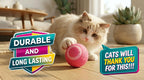 Rolling Smart Ball For Cats