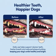 Pet Teeth Cleaning Powder for Cats and Dogs