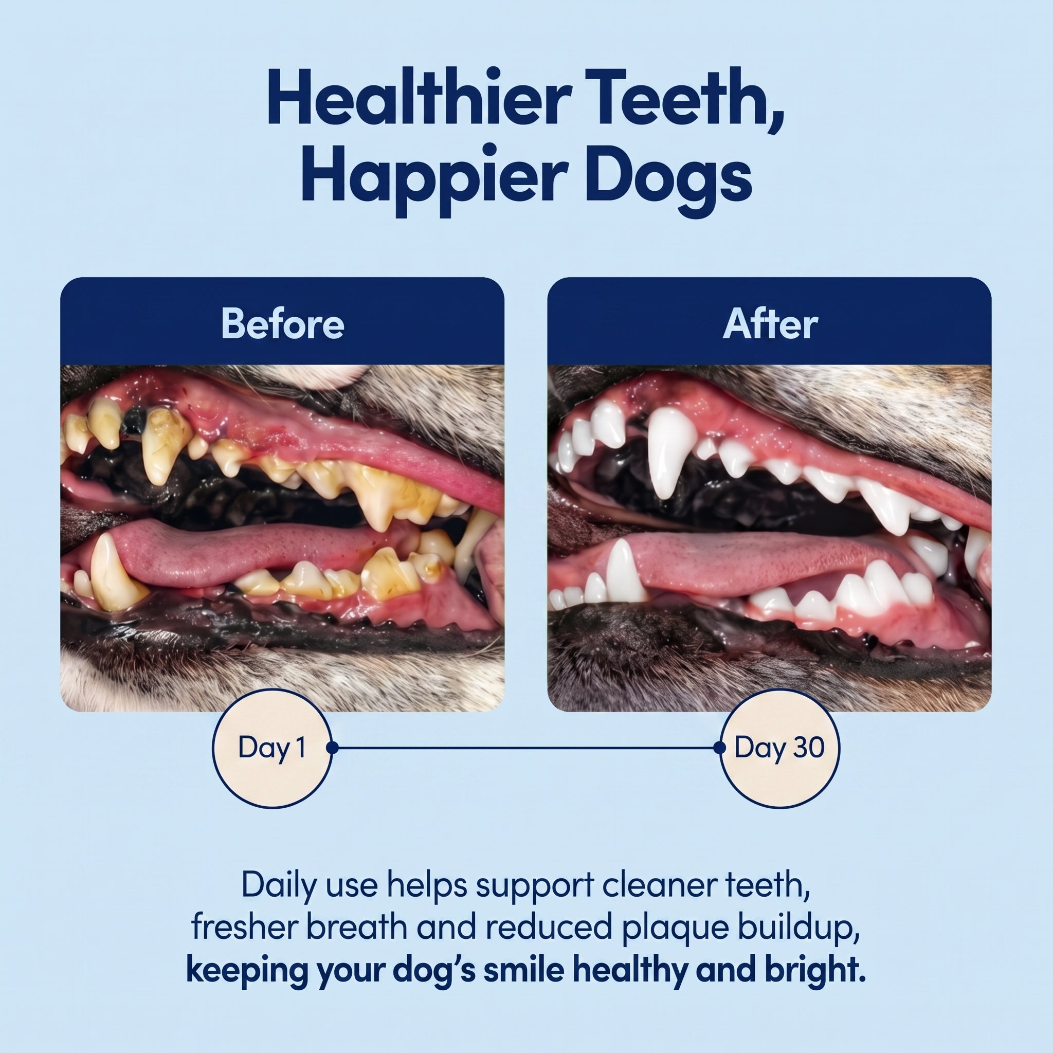 Pet Teeth Cleaning Powder for Cats and Dogs