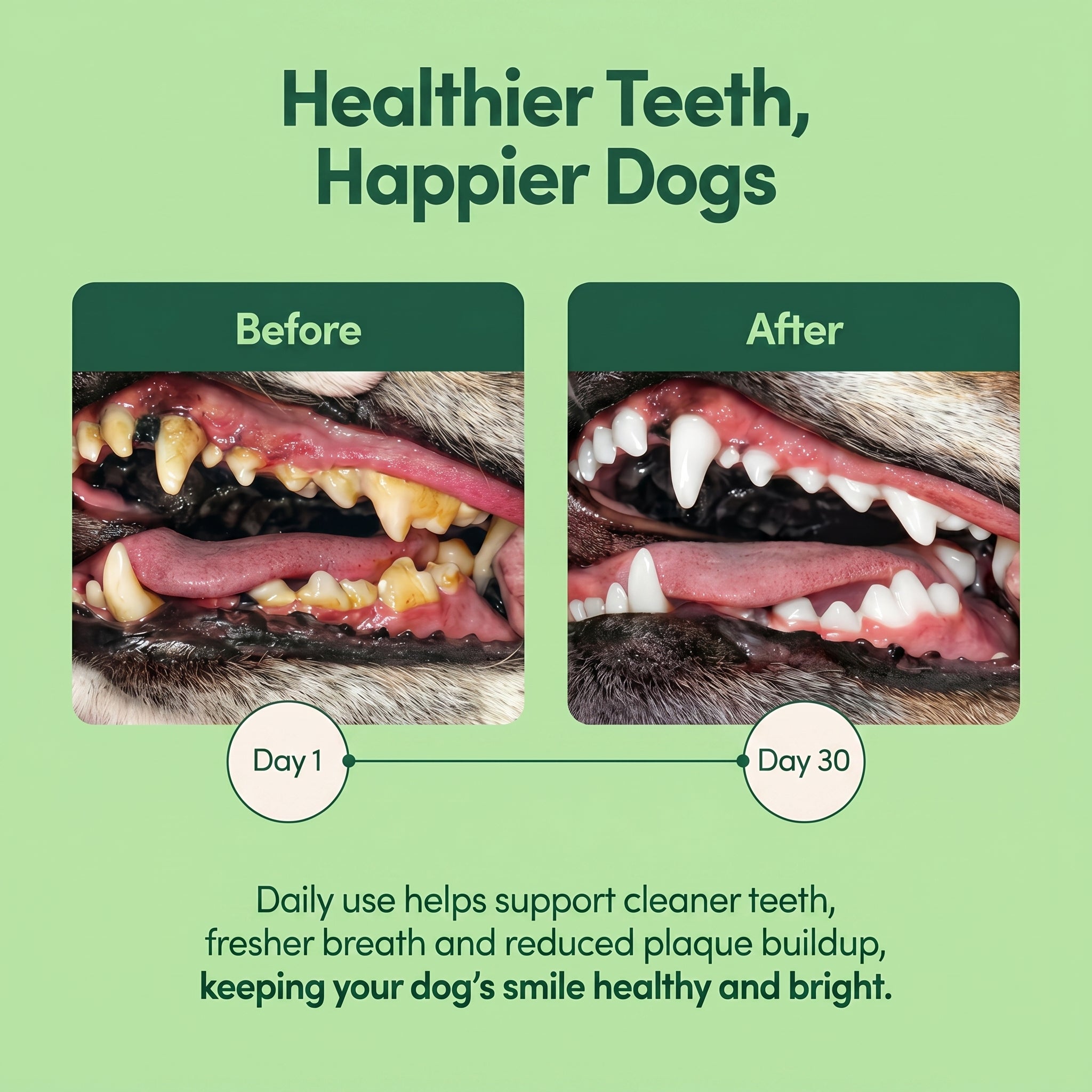 Pet Teeth Cleaning Powder for Cats and Dogs