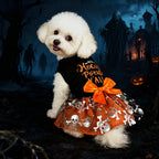 Dog's Halloween clothing dress