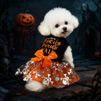 Dog's Halloween clothing dress