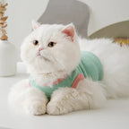 Cat clothes, dog pet clothing