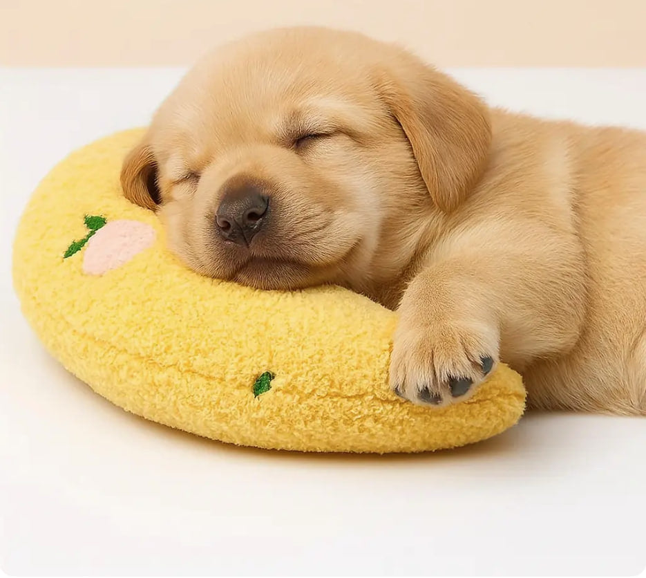 Relaxing Dog Pillow