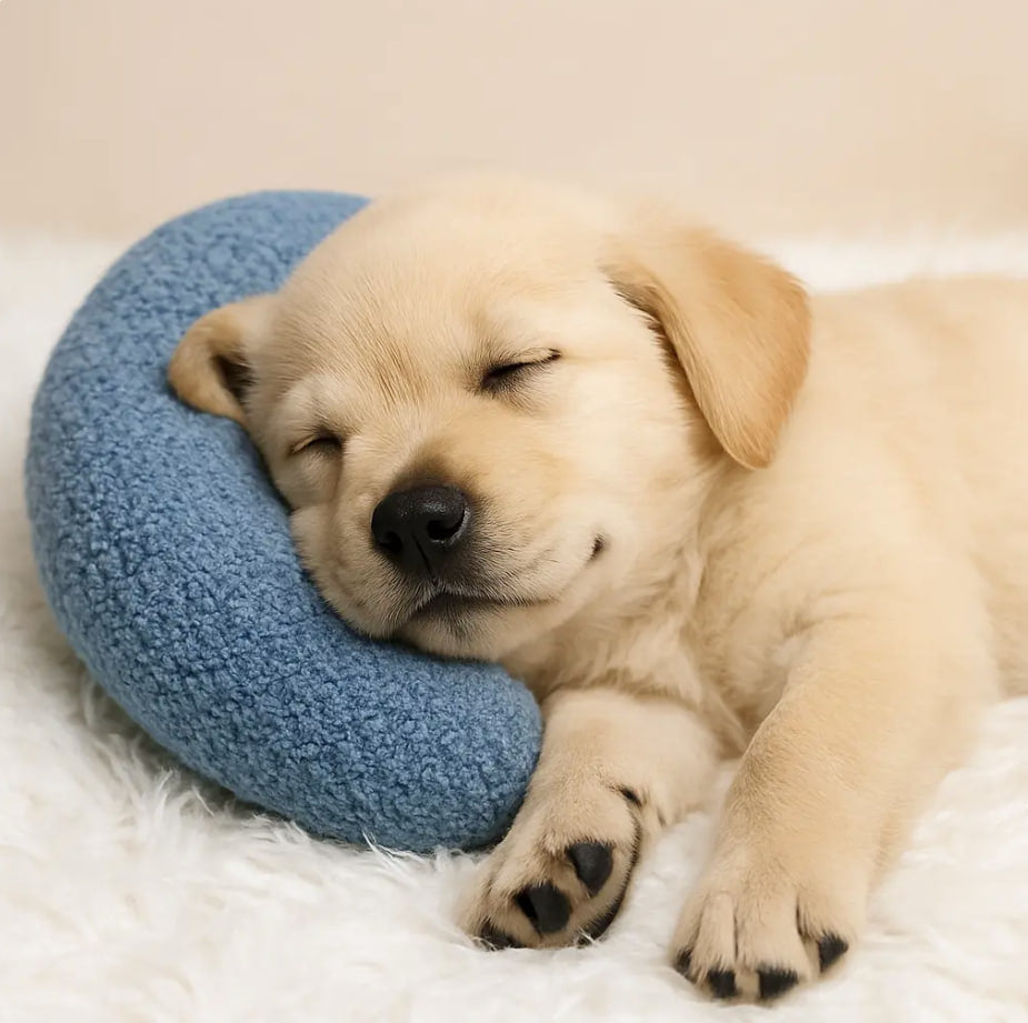 Relaxing Dog/Cat Pillow