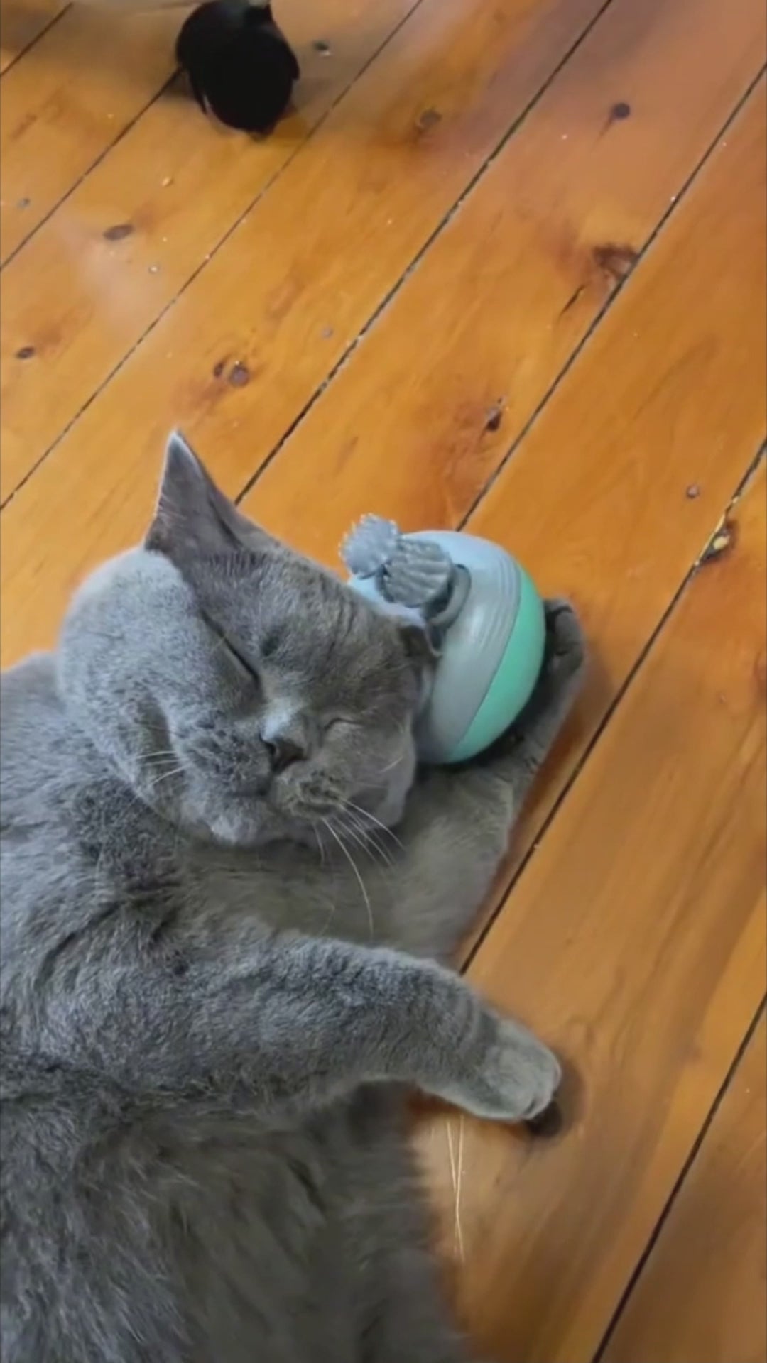 Electric Massage Brush