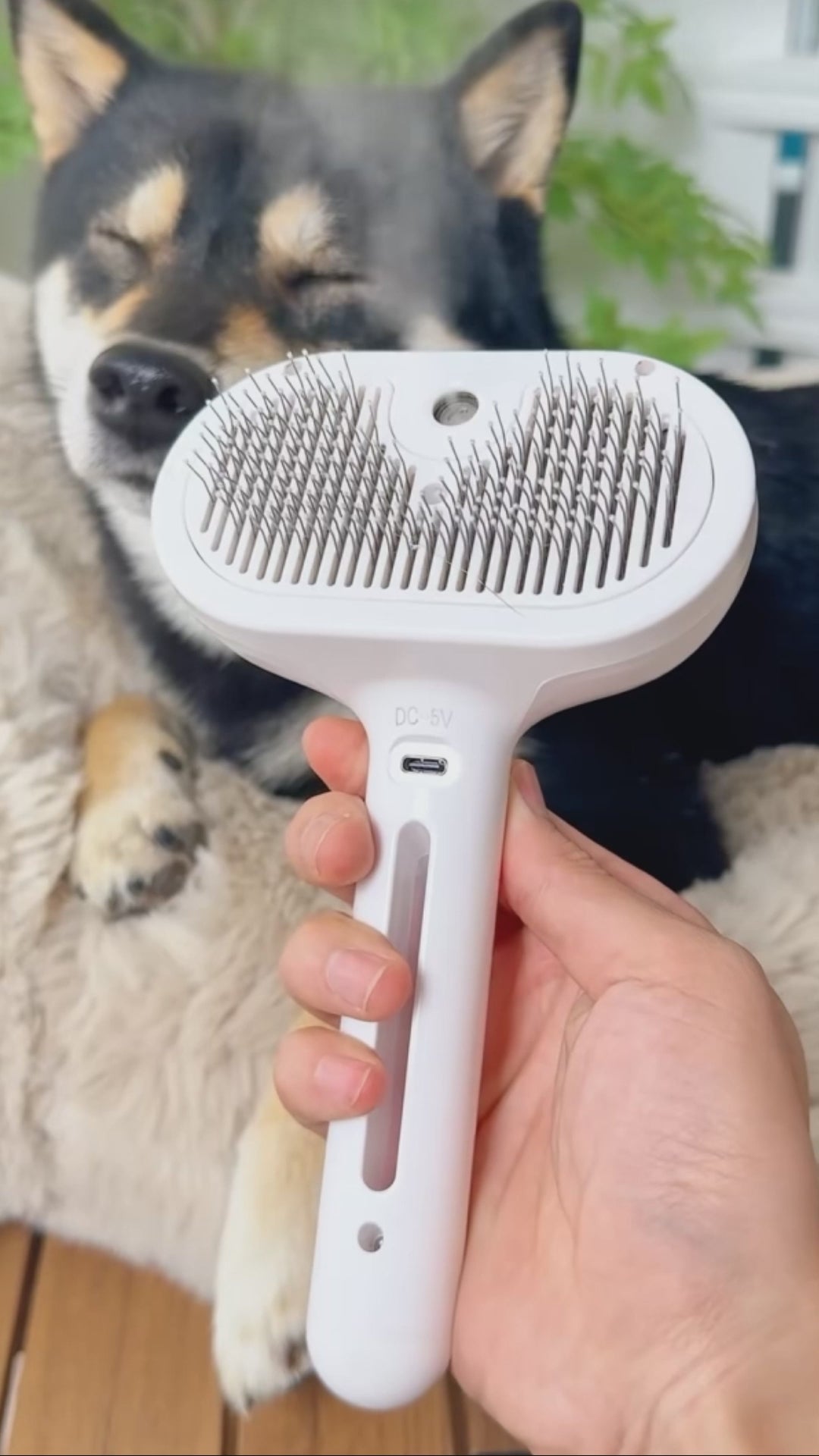 Electric Steam Pet Grooming Brush