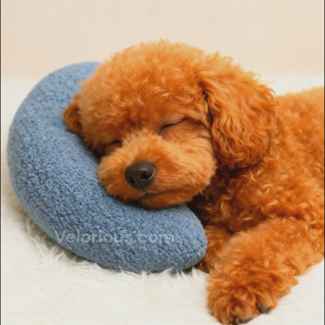 Relaxing Dog Pillow