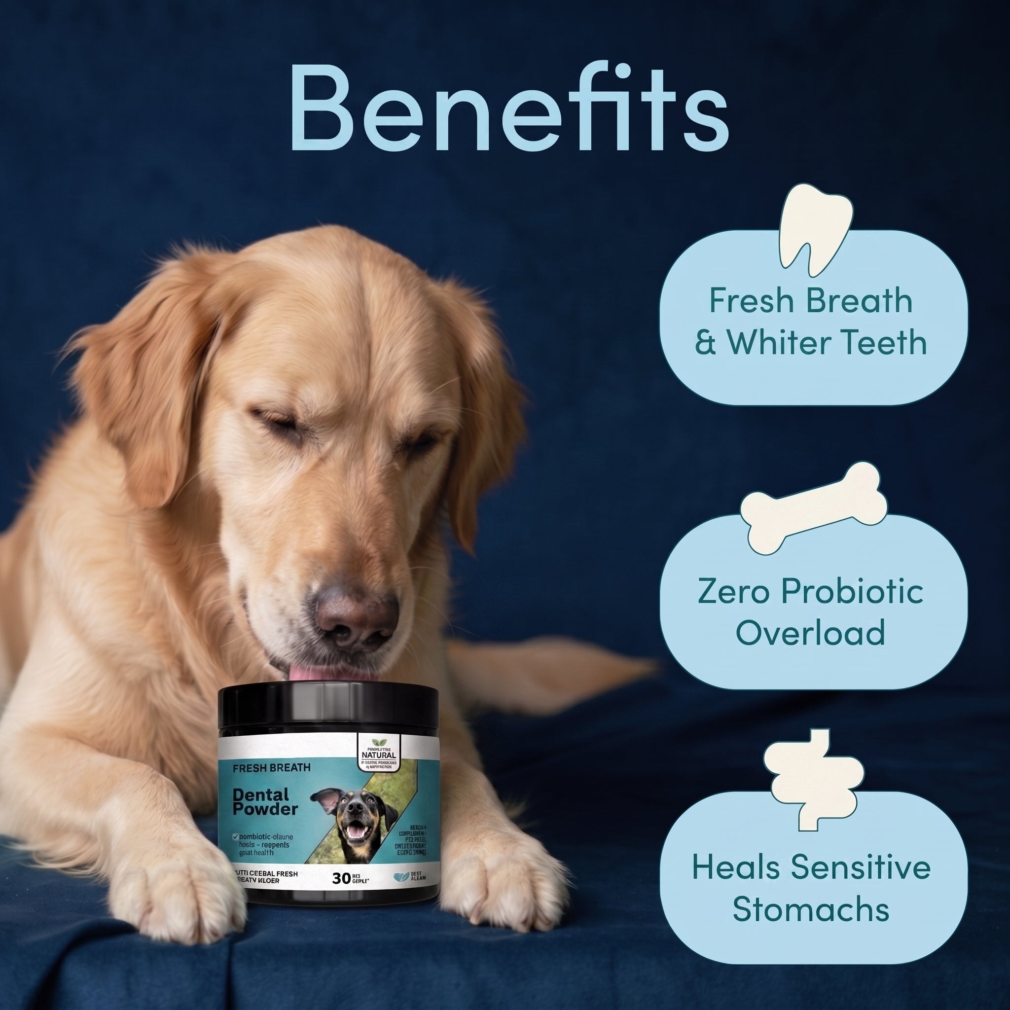 Dental powder benefits lifestyle image
