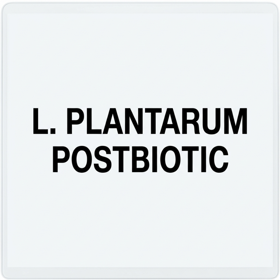 L. plantarum Postbiotic ingredient