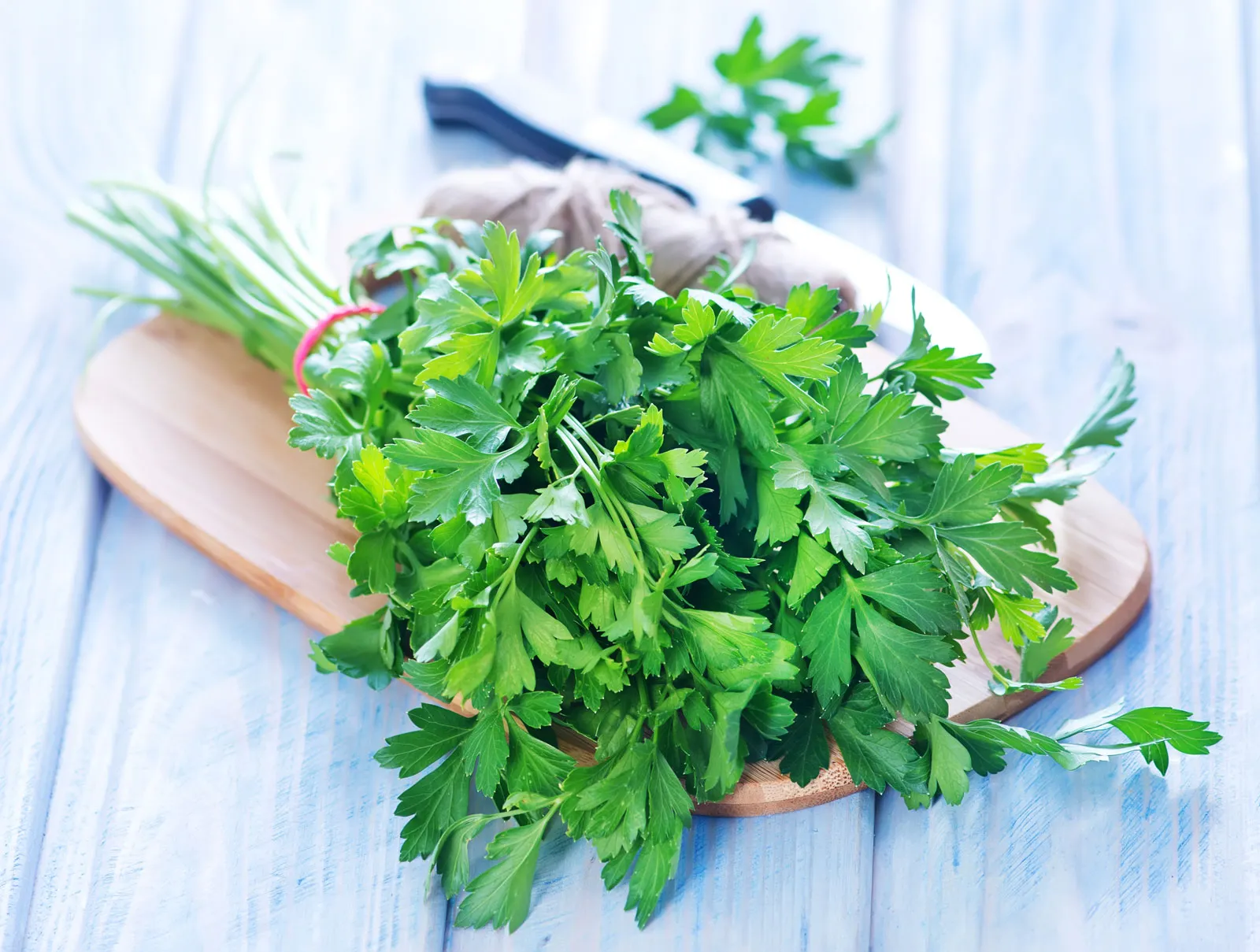 Parsley ingredient