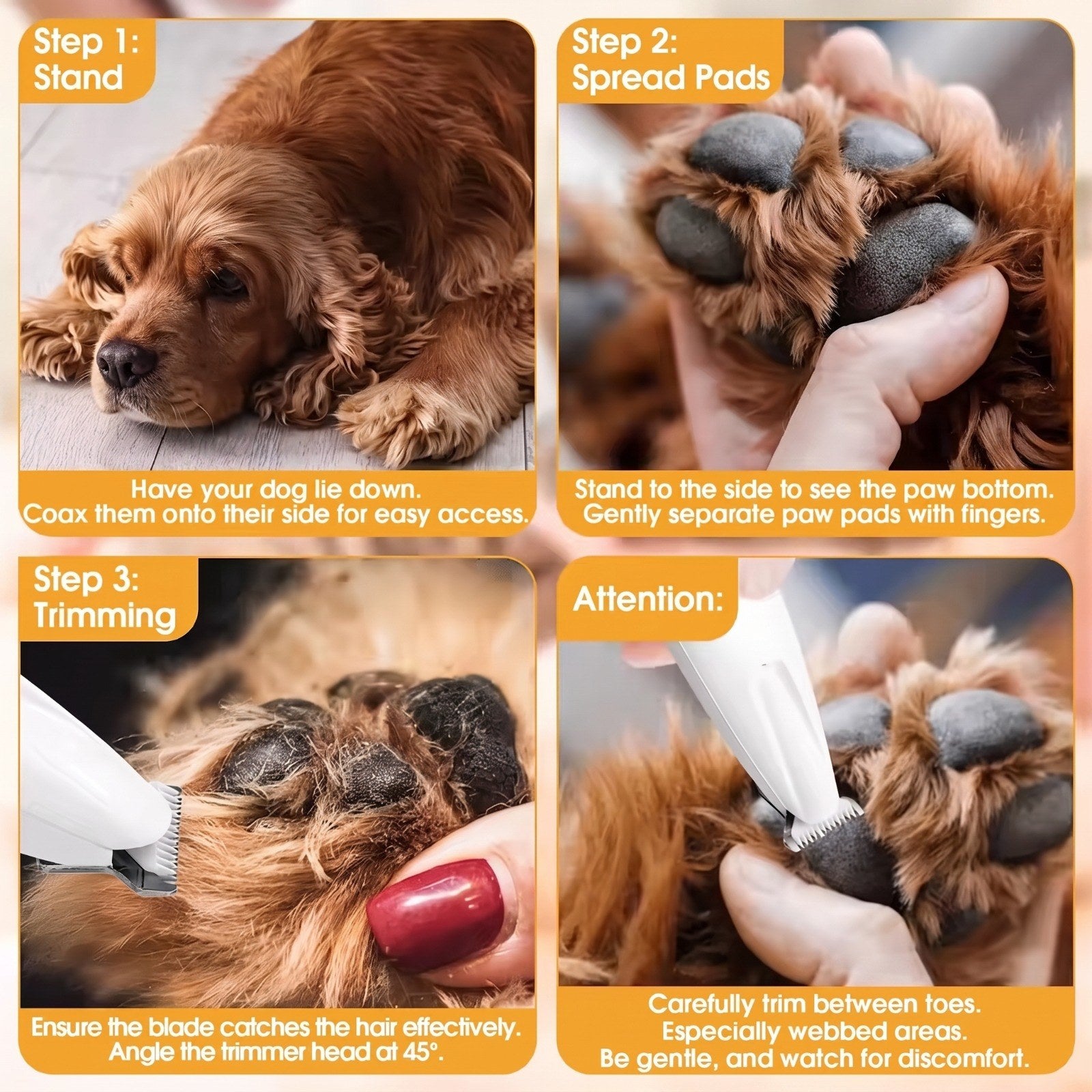 Dog paw trimming steps guide
