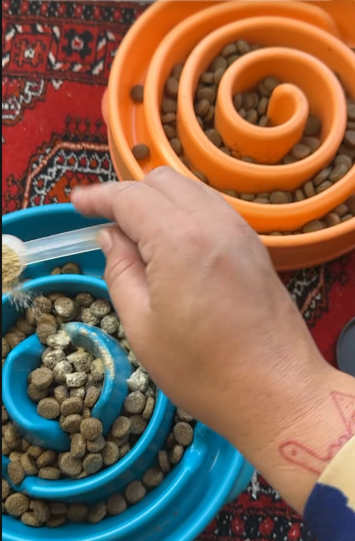 Dental powder scoop being added to pet food bowls